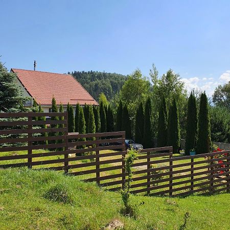 Casa Carpati Leilighet Zărneşti Eksteriør bilde