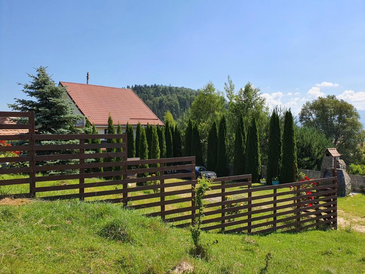 Casa Carpati Leilighet Zărneşti Eksteriør bilde