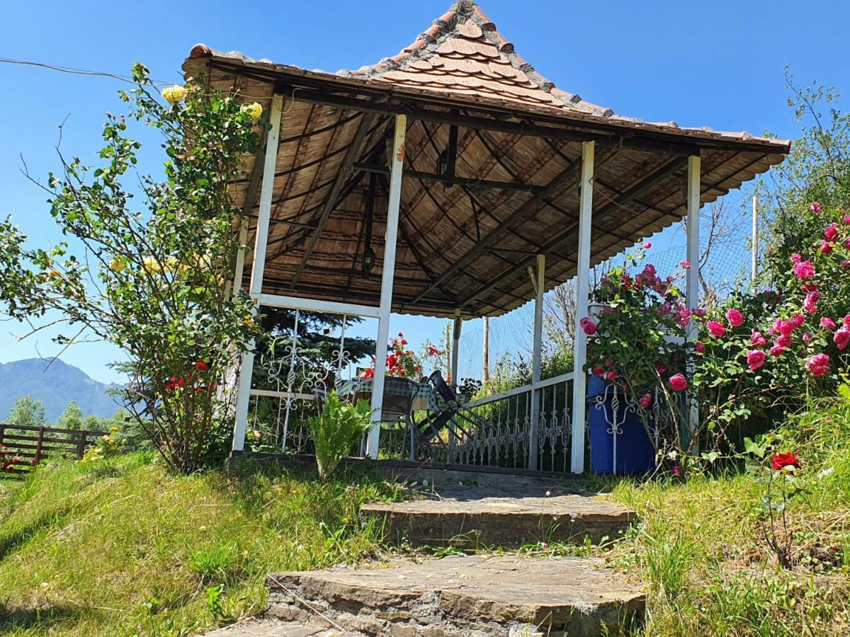 Casa Carpati Leilighet Zărneşti Eksteriør bilde