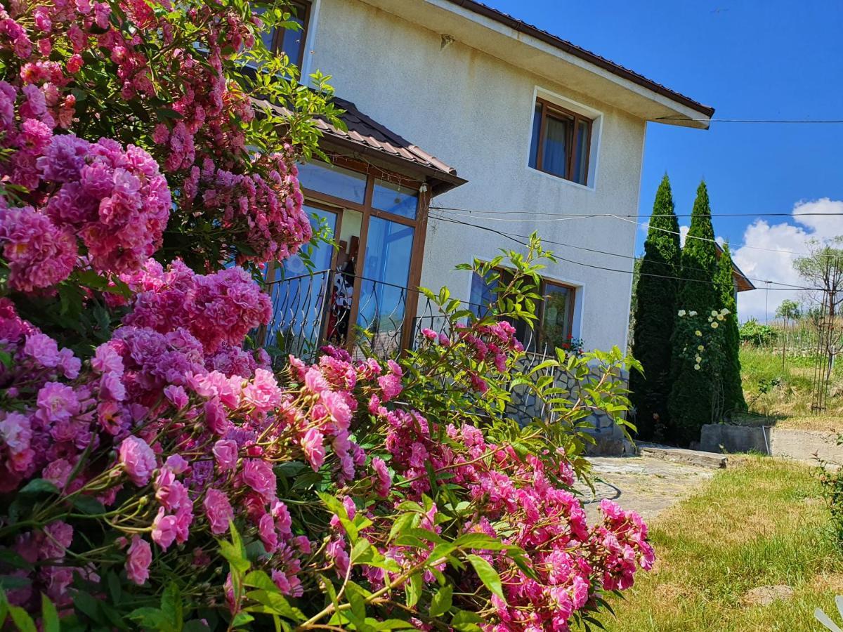 Casa Carpati Leilighet Zărneşti Eksteriør bilde